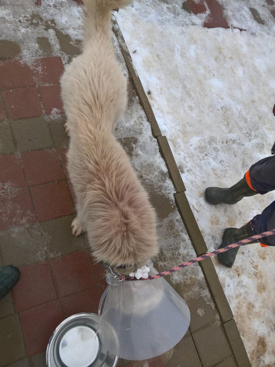 16487809_1258018980901306_1122890646134665191_o