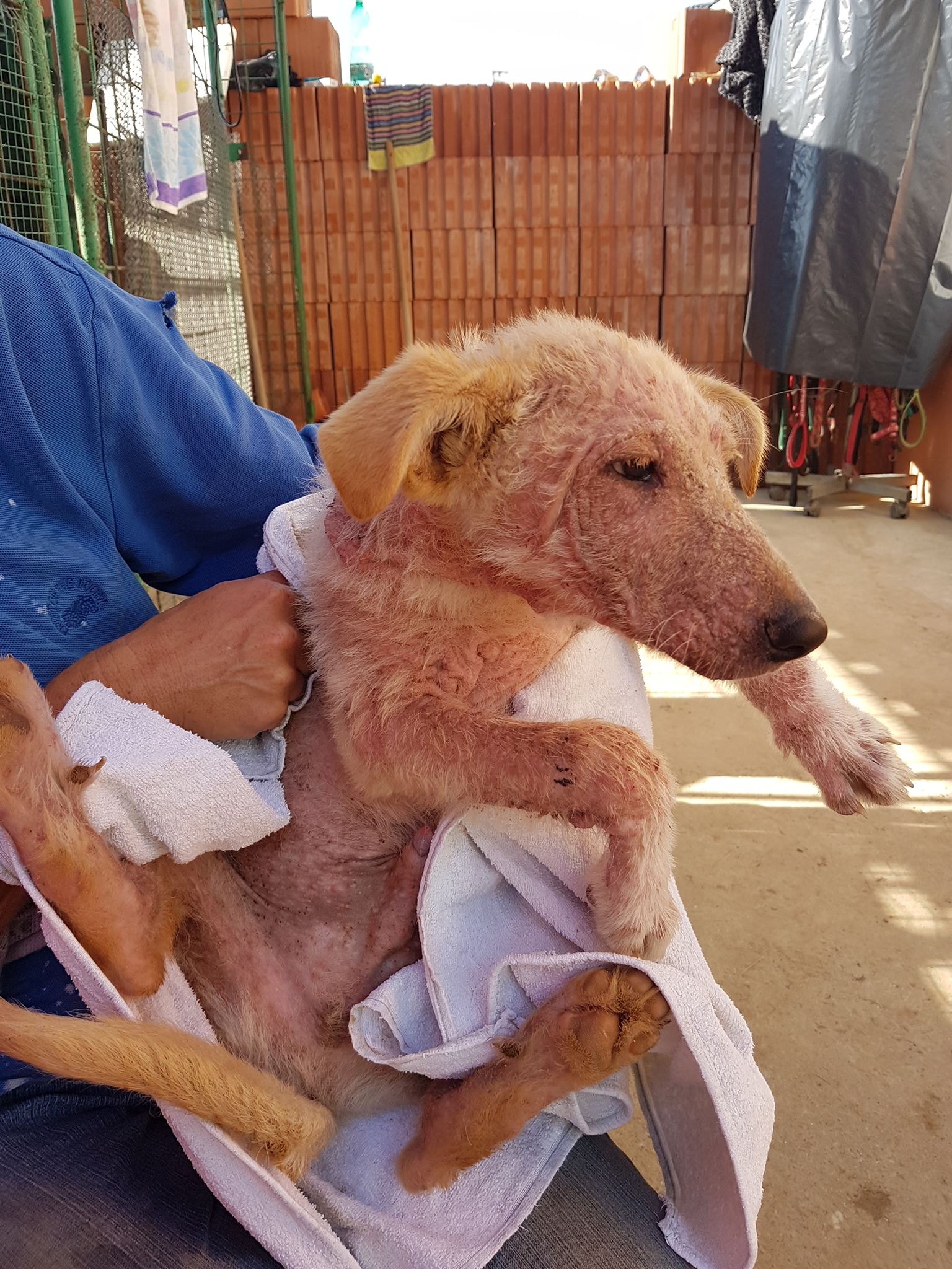 20862357_10210481658379004_1594549818_o (1) (1)