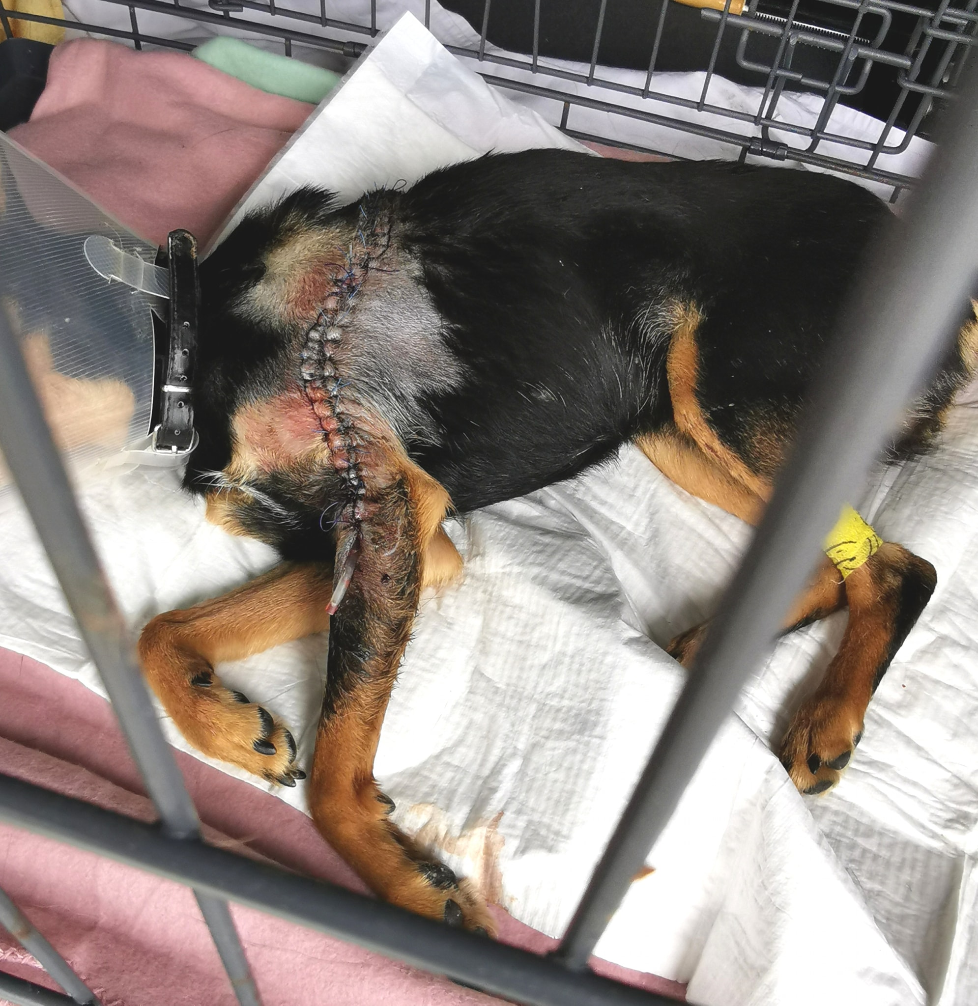 242398756_4342128402490333_4168444458078305840_n