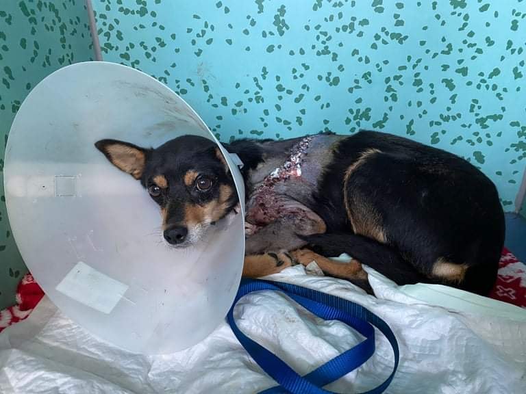 242883502_4359644277405412_1089352143495056942_n