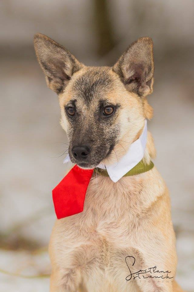 26906972_1592256330810901_3749263105710819652_n