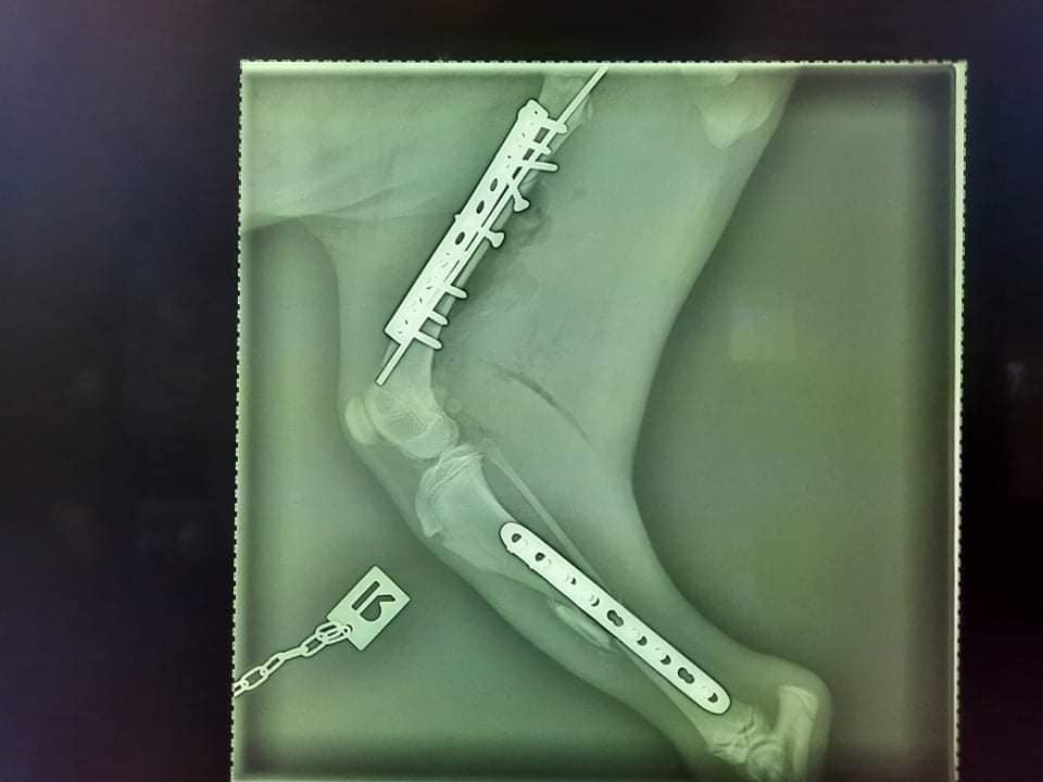 272902438_4812123612157474_3916150281368334325_n