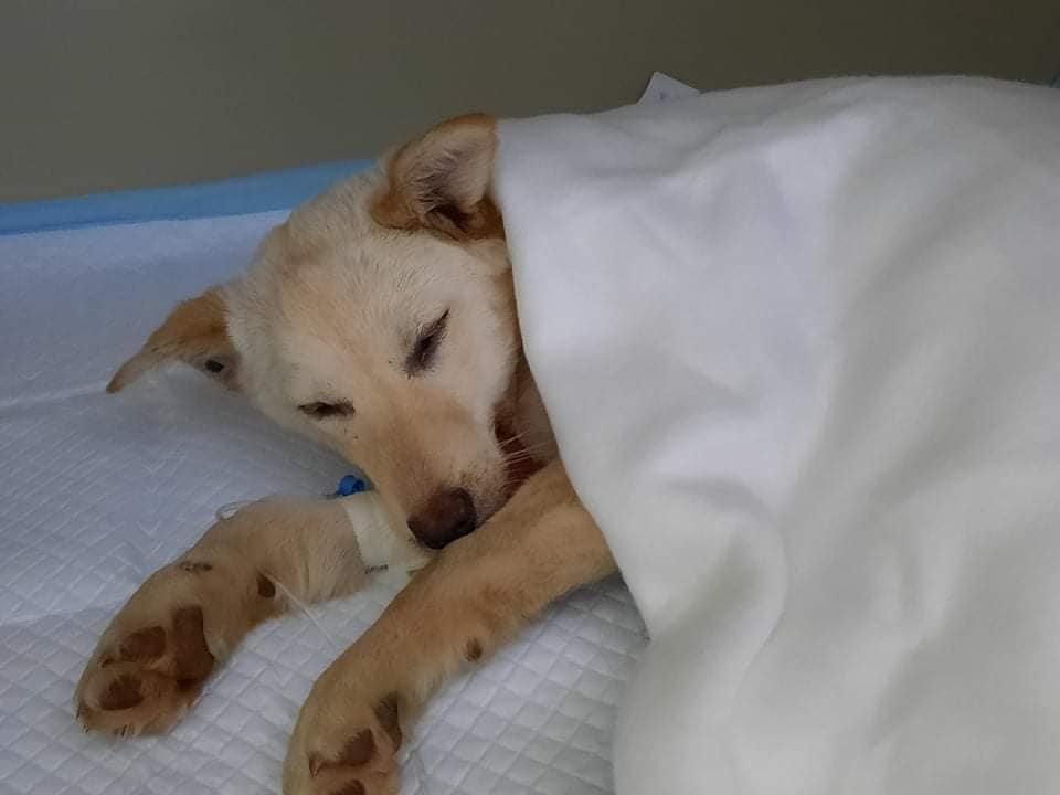 272957346_4812123502157485_809170539194446104_n