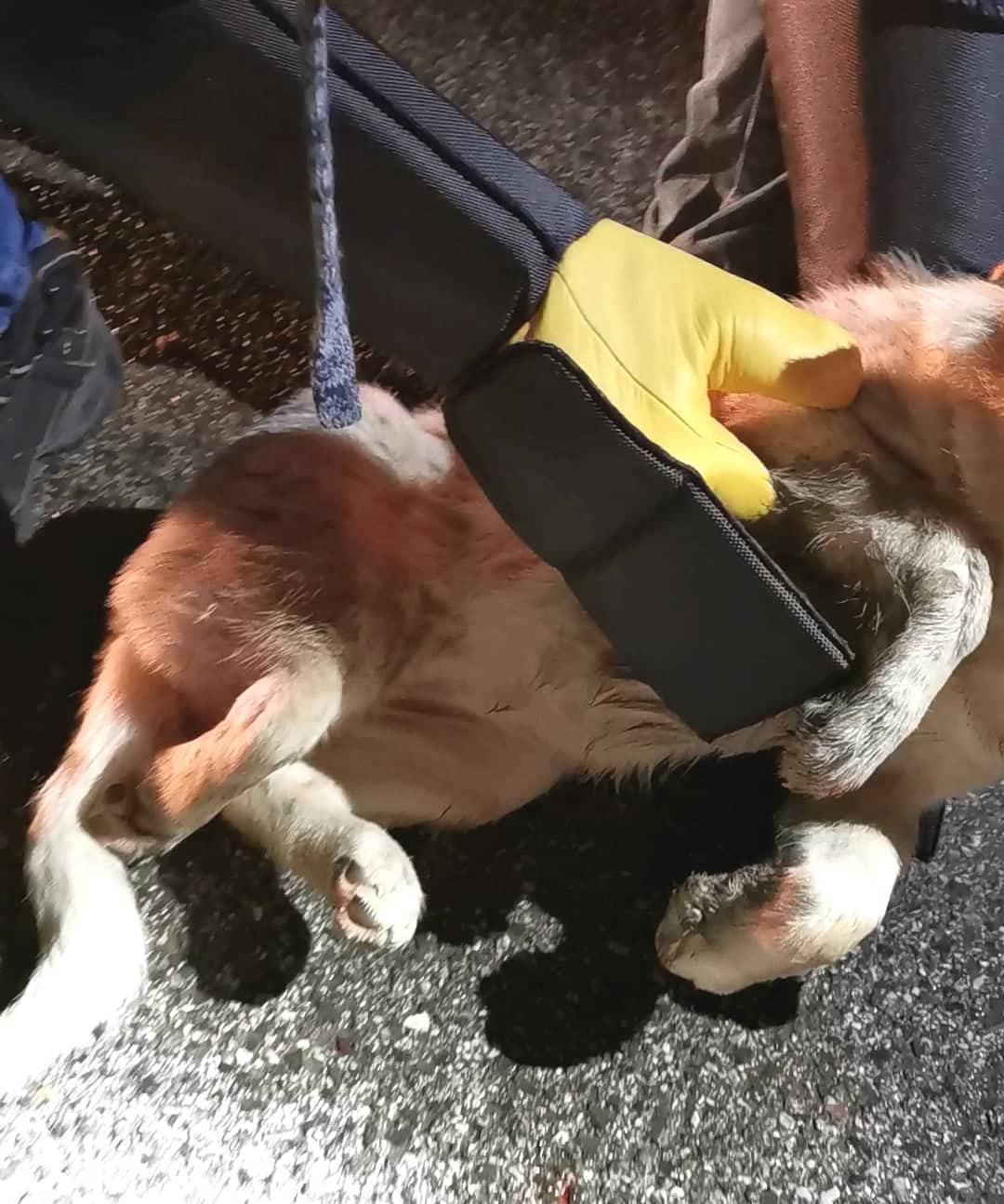 277721559_2134049940087746_8413222591982065095_n