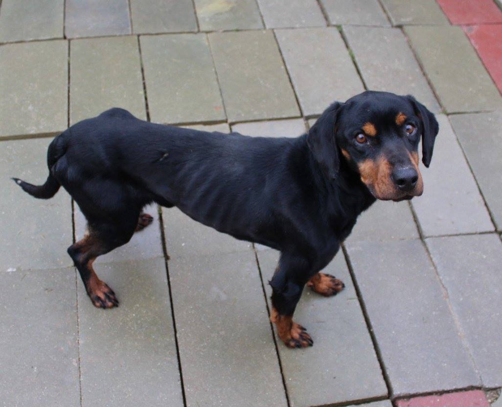 28061482_1614319258604608_913601747092271233_o