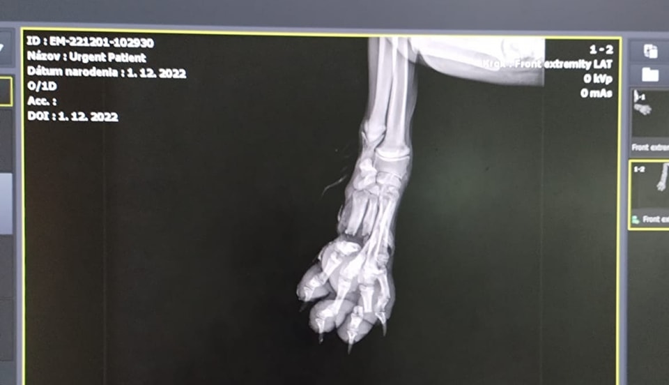 317685171_5661077330595427_8244543587902037649_n