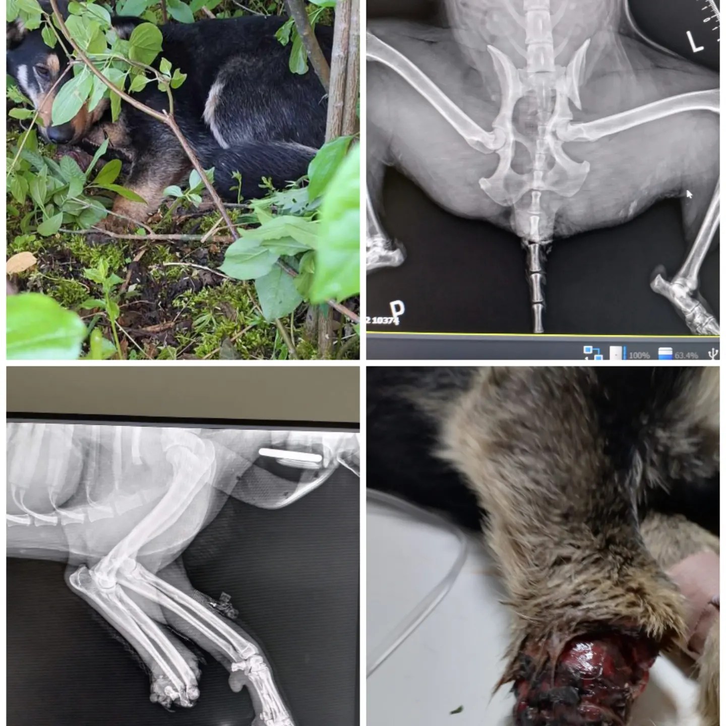 438160282_766791385576064_4932514102178066321_n