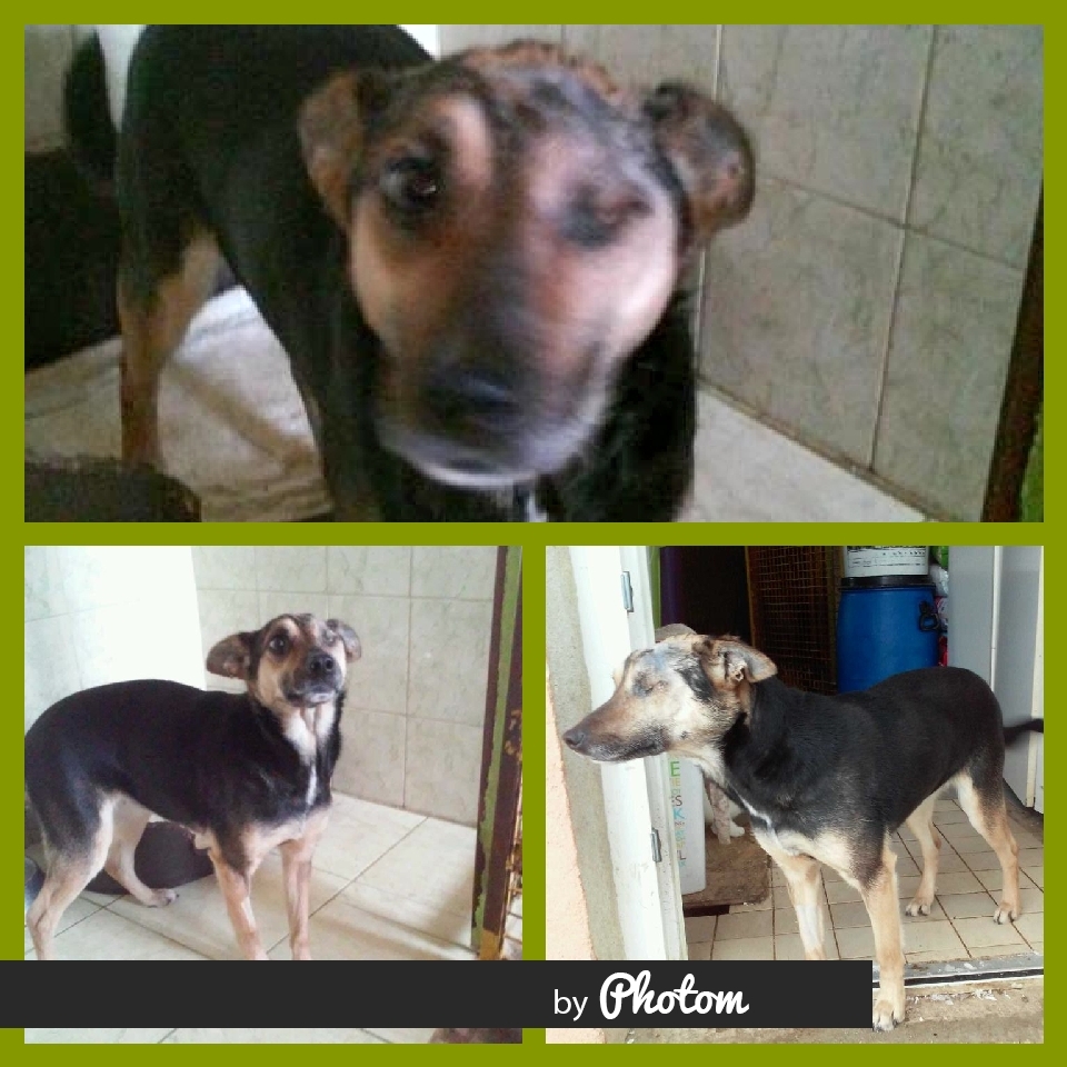 43b7b056-30b5-4d8f-aba8-13c9376721ed