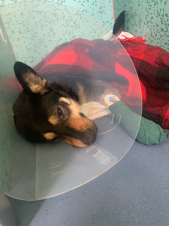 440850905_768092058779330_282982898459959935_n