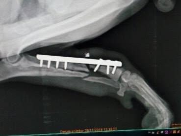 49573183_2019070228129507_2045082526627659776_n