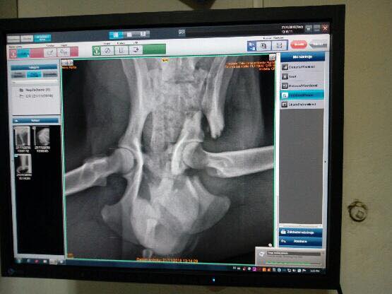 51364637_2055500261153170_1920463496483438592_n (1)