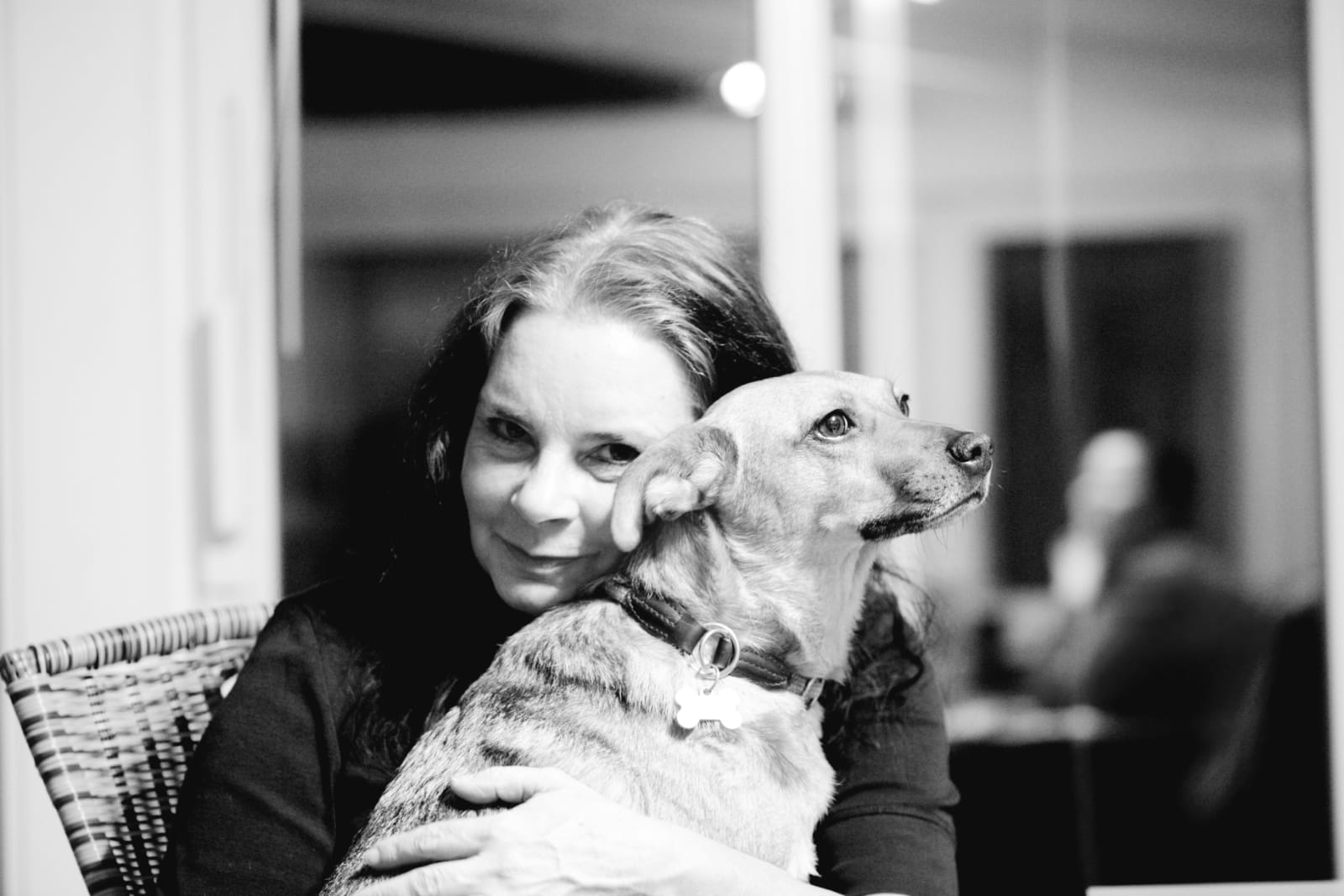 útulok šťastný psík